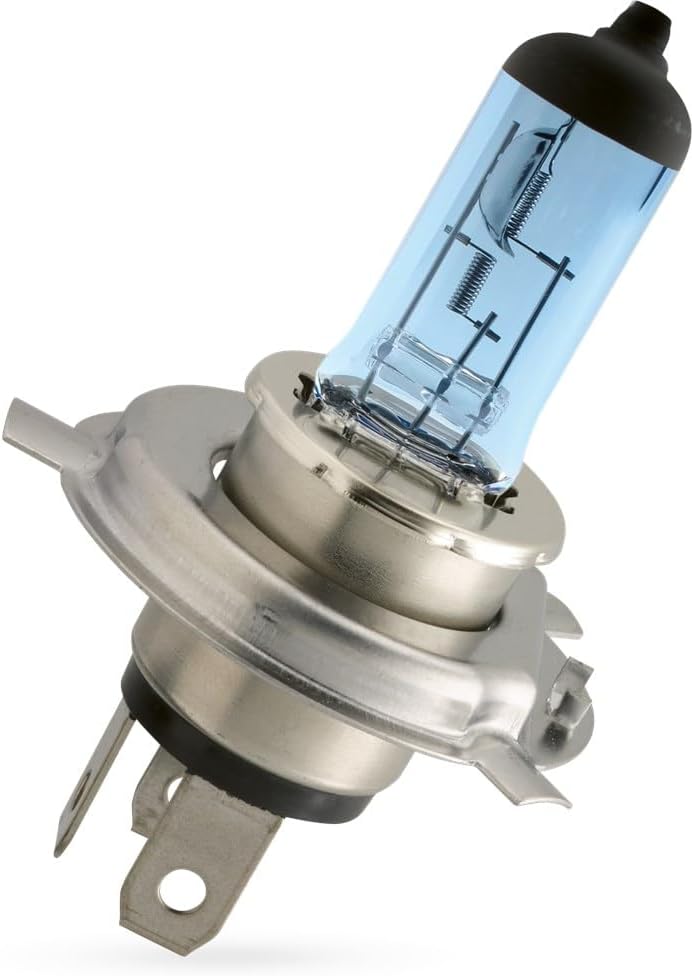 Philips H4 100/90w Rally Vision Headlamp Globe