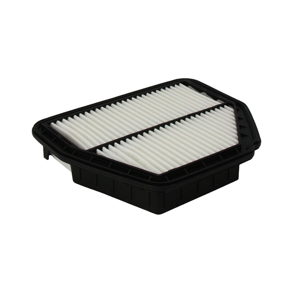 Fram Air Filter A1638 | CA10520