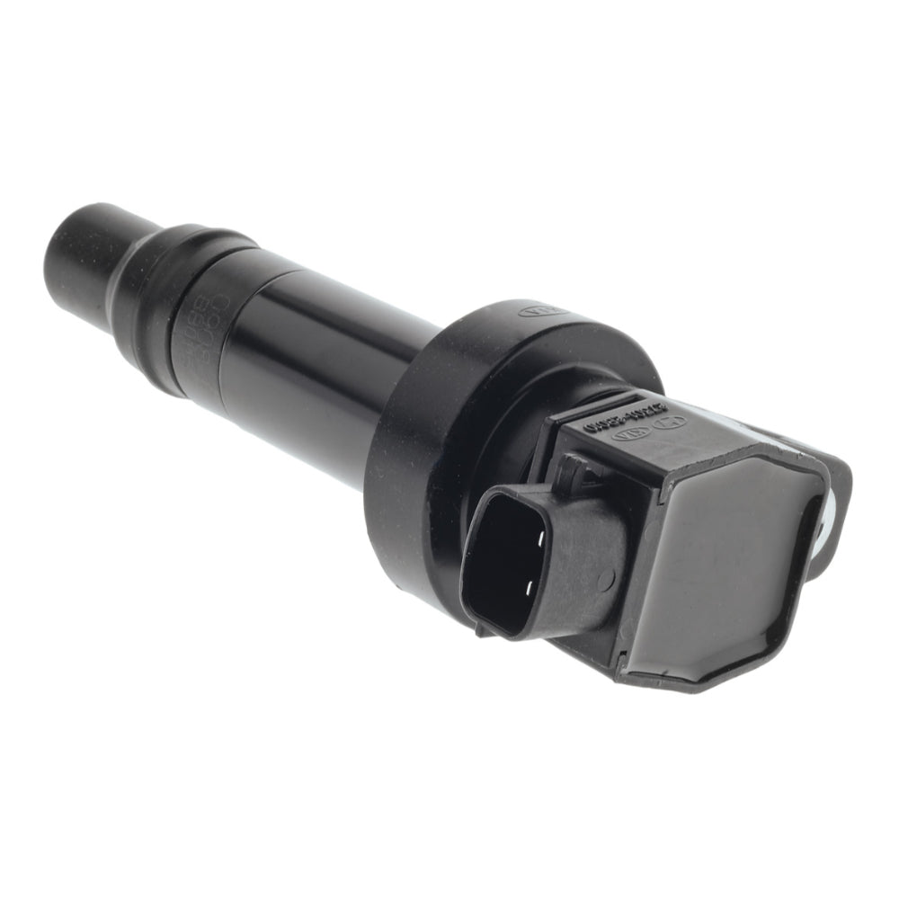 PAT Ignition Coil | IGC-384M