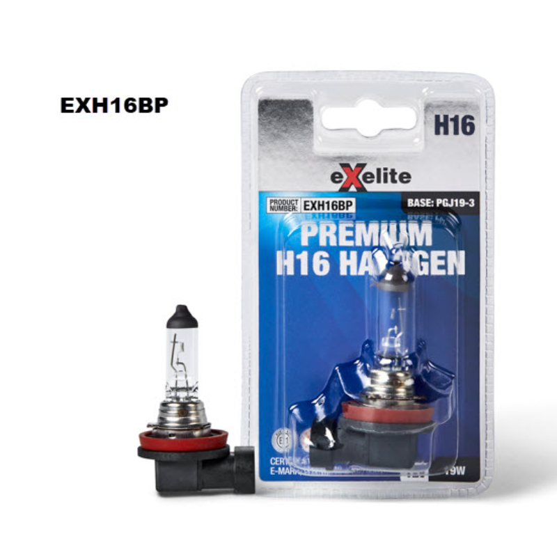 Exelite Globe H16 12V 19W)