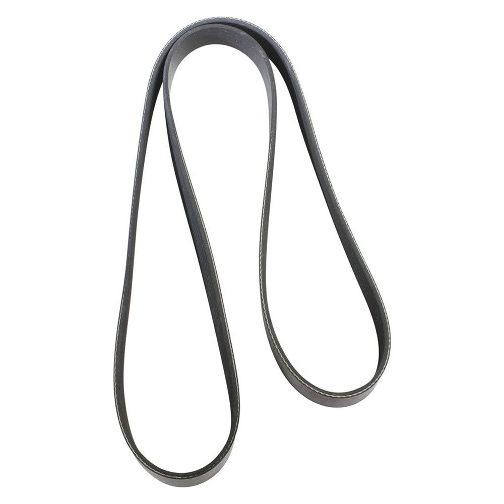 Dayco Fan Belt | 11A0900