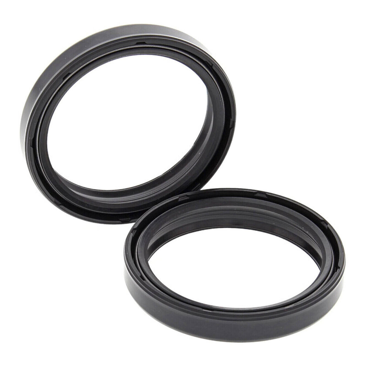 Fork Seal Kit 41X54X11 DCY 2-Spring (047) 55-119B WPFS415411