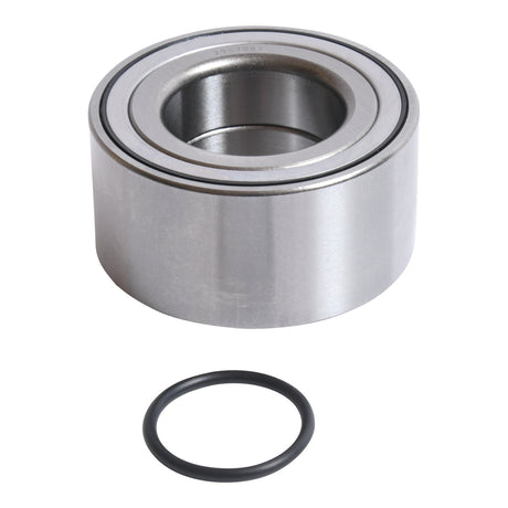 All Balls Racing Wheel Bearing Kit (25-1728)