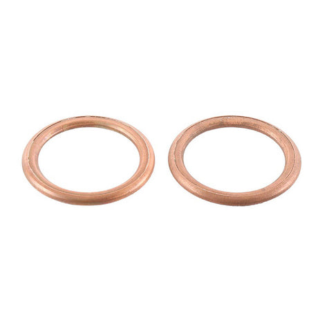 Exhaust Gasket Kit 823132
