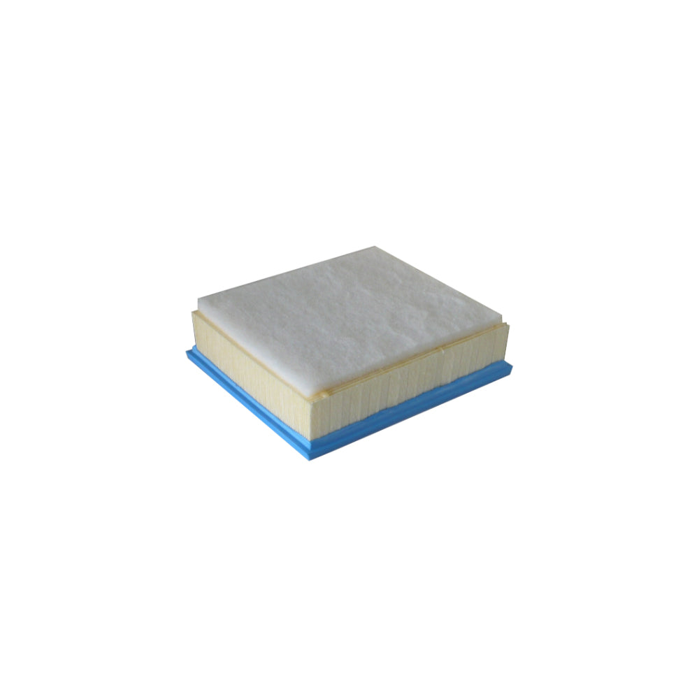 Fram Air Filter A1828 | CA11893