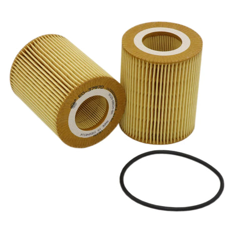 Sakura-Oil-Filter-R2729P-|-Eo-37970