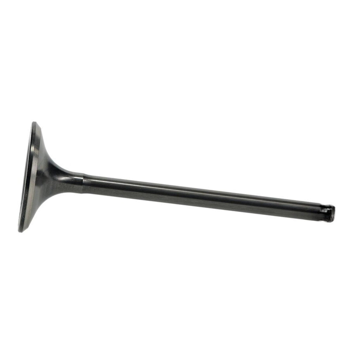Hot Cams Valve Exhaust - Steel