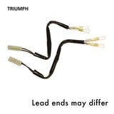 Oxford Indicator Leads Triumph
