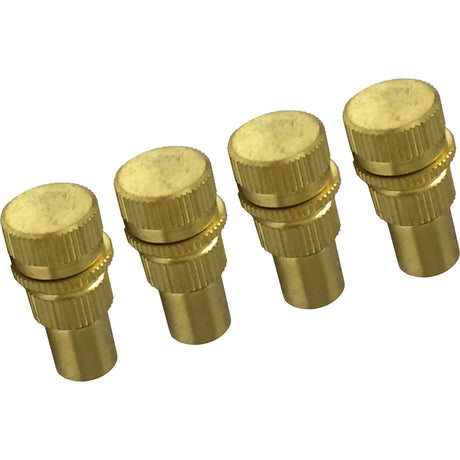 Brass-Tyre-Deflators-4pc