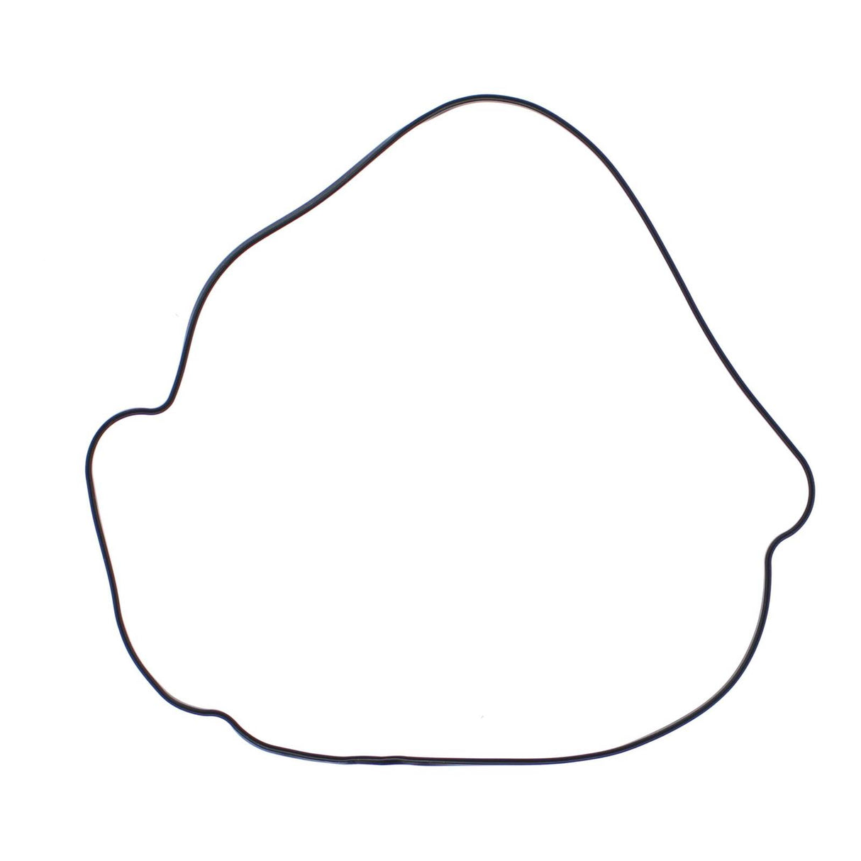 Outer Clutch Gasket Kit 817987